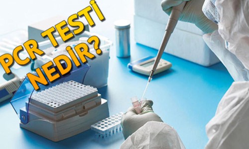 PCR testi nedir? Nasıl yapılır?